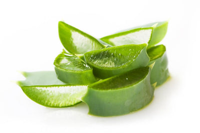 The Amazing Benefits of Aloe Vera on our Skin